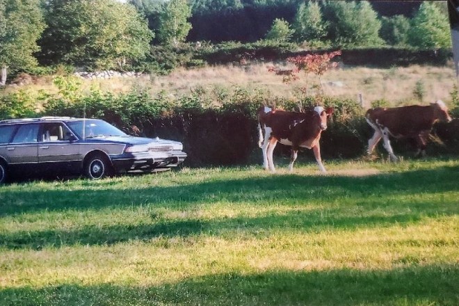 White’s Farm on the Hill