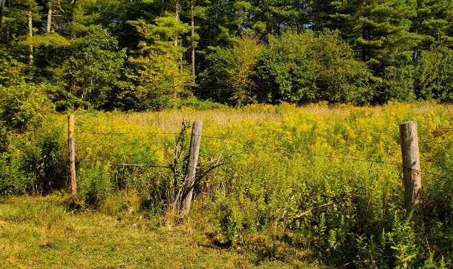 Find Your Peace in God